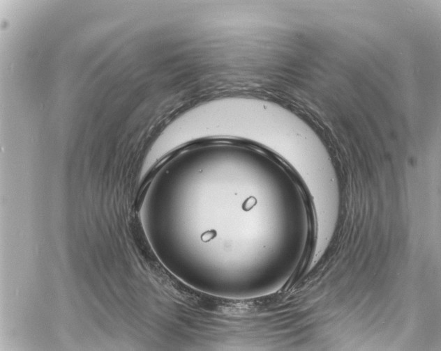 X0000060810079200511141517