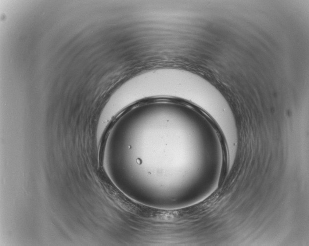 X0000060810080200511141517