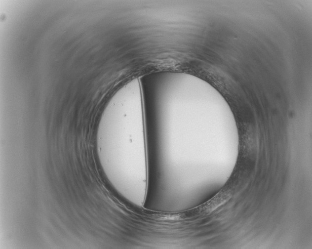 X0000060810081200511141517