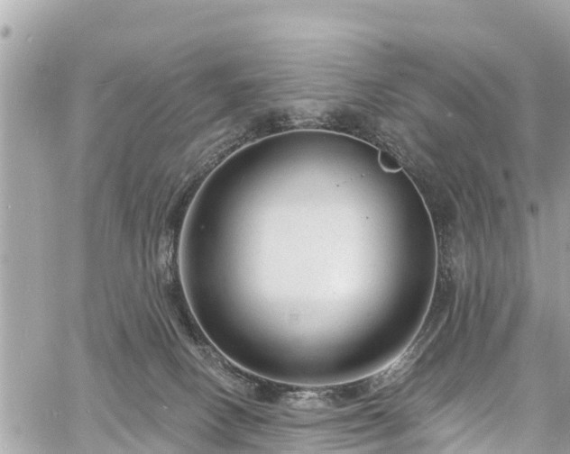 X0000060810082200511141517