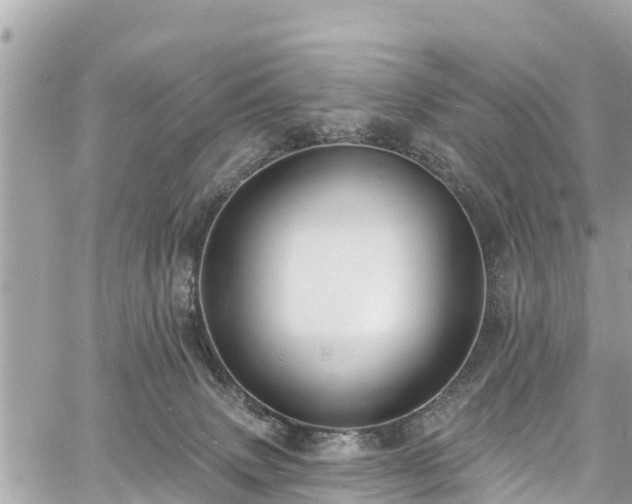 X0000060810083200511141517