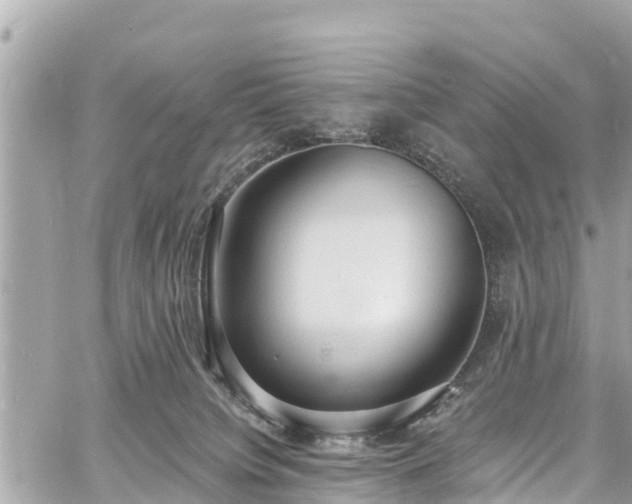 X0000060810084200511141517