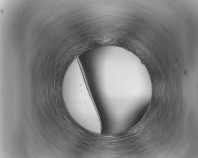 X0000060810085200511141517