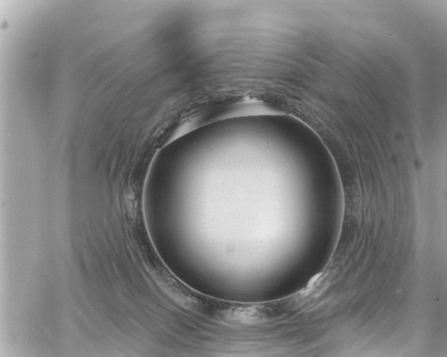 X0000060810086200511141517