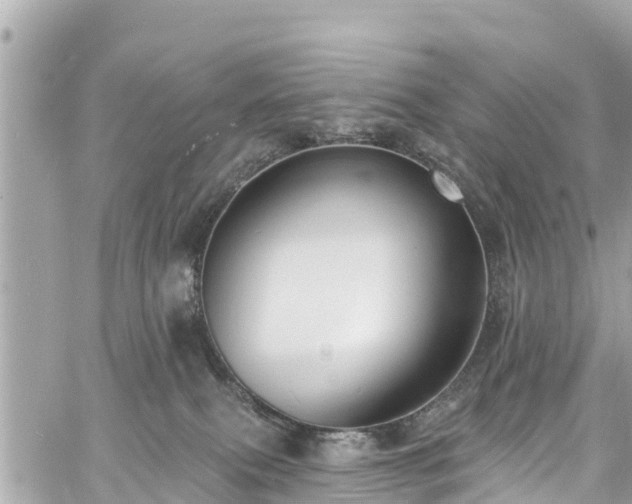 X0000060810087200511141517