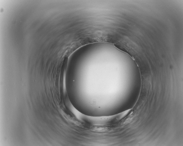 X0000060810088200511141517