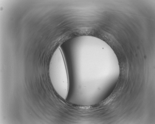 X0000060810089200511141517