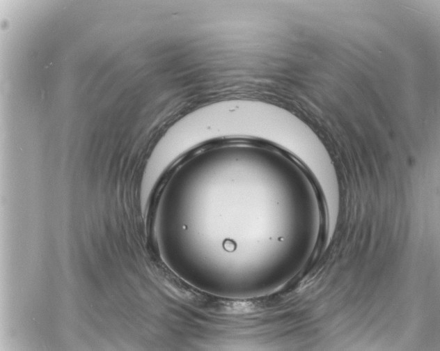 X0000060810091200511141517