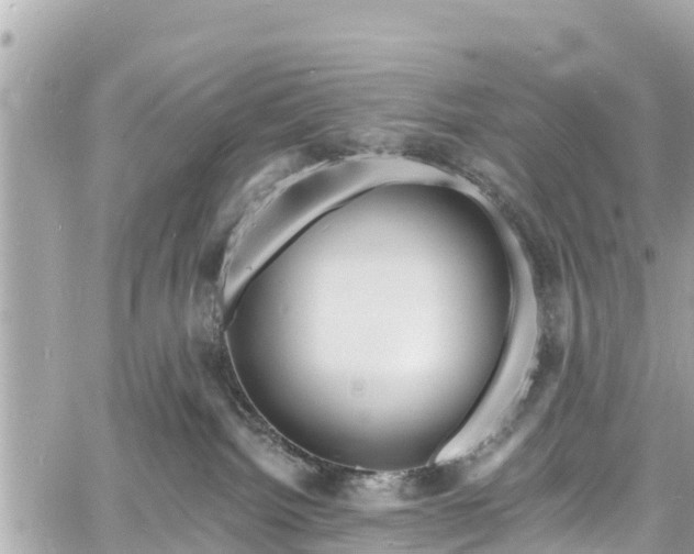 X0000060810092200511141517