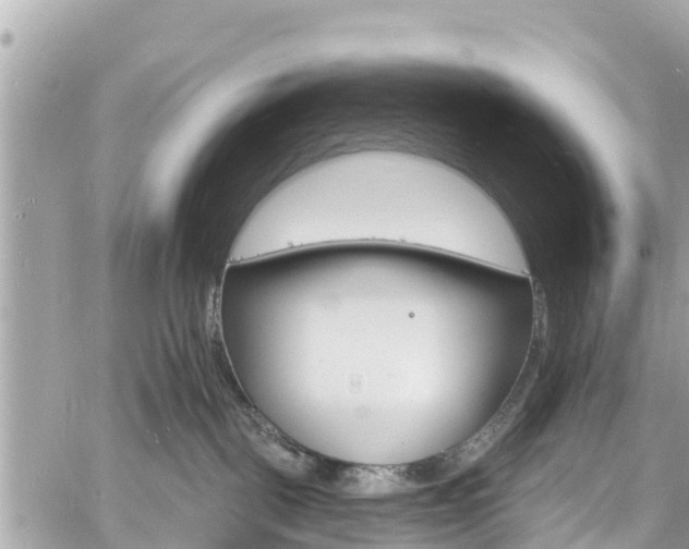 X0000060810093200511141517