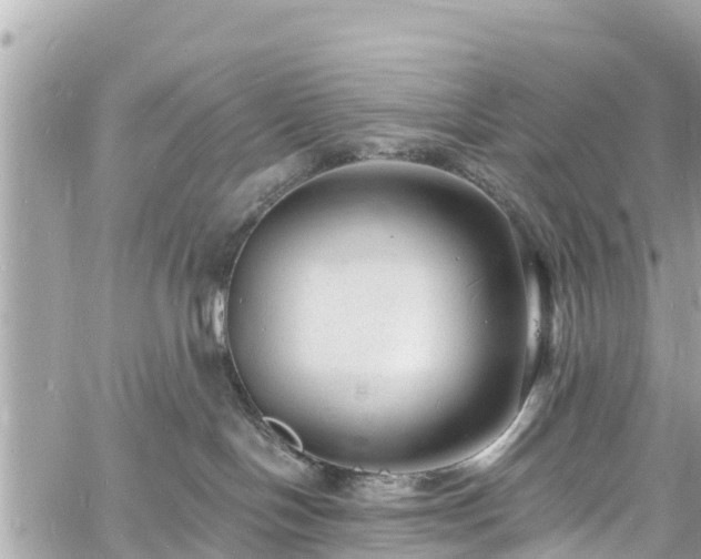 X0000060810094200511141517