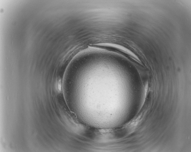 X0000060810095200511141518