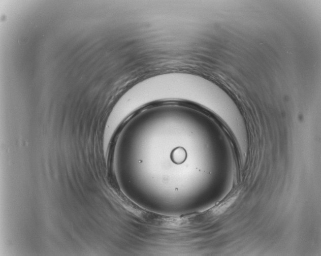 X0000060810096200511141518