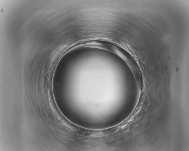 X0000060810097200511141517