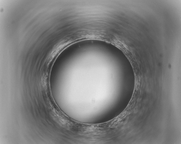 X0000060810098200511141517