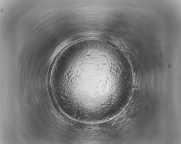 X0000060810099200511141517