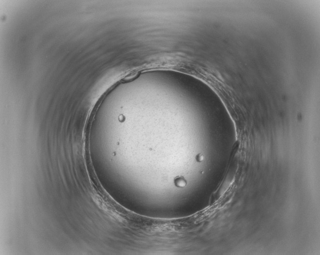 X0000060810100200511141517