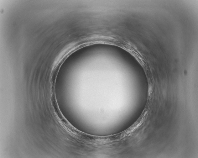 X0000060810101200511141517