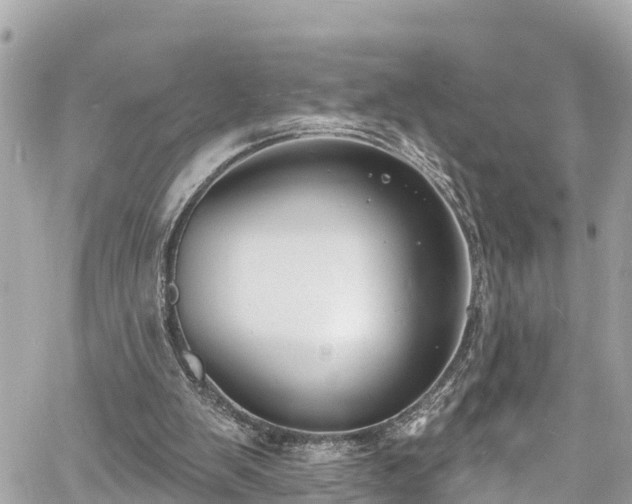 X0000060810103200511141517