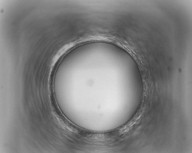 X0000060810104200511141517