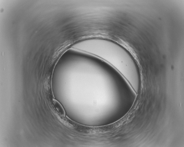 X0000060810105200511141517