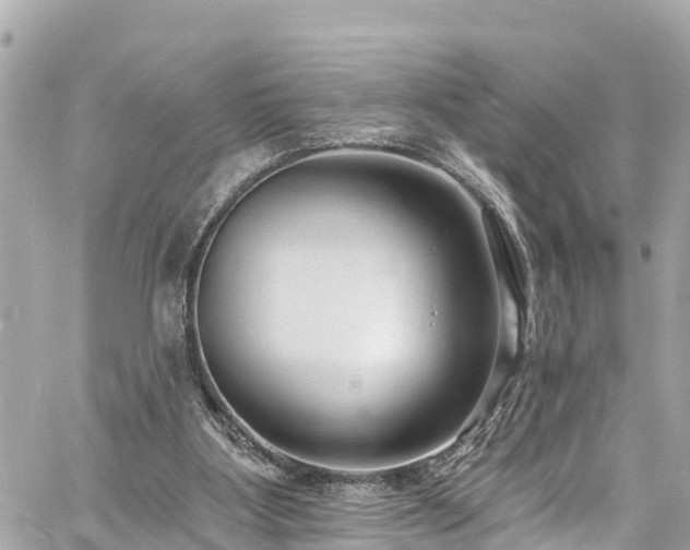 X0000060810107200511141517