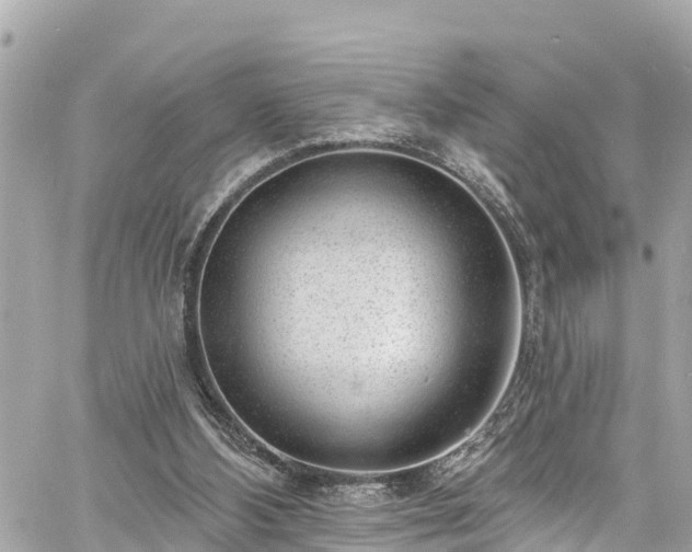 X0000060810108200511141517