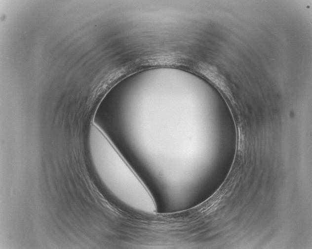 X0000060810109200511141516