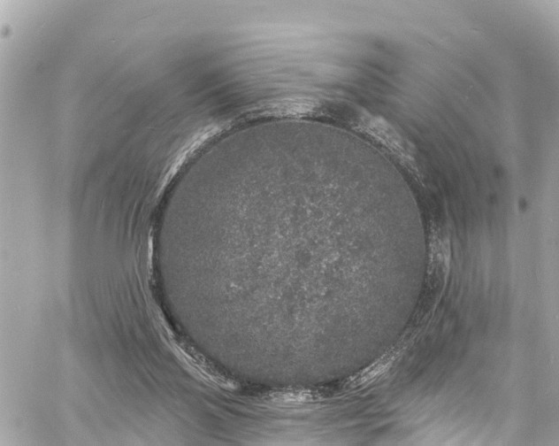 X0000060810110200511141516