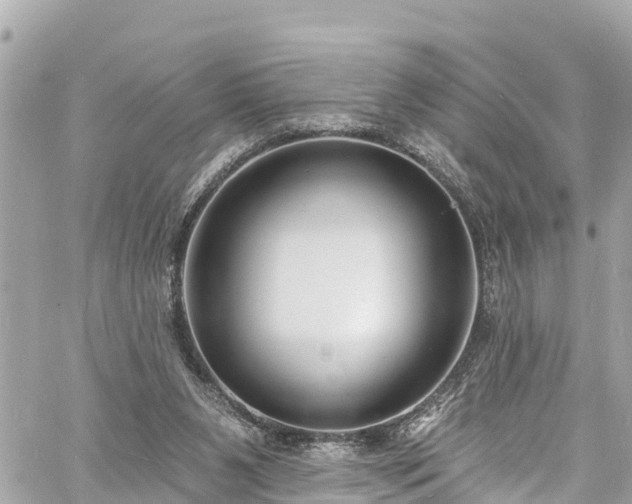 X0000060810111200511141516