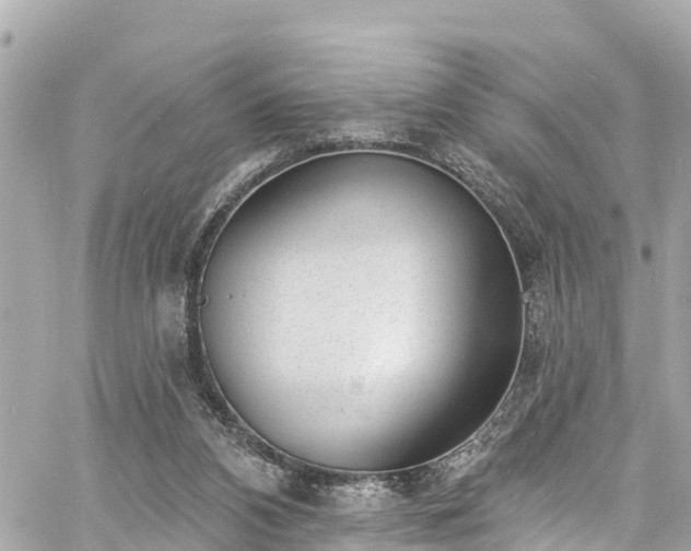 X0000060810112200511141516