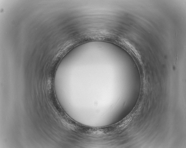 X0000060810113200511141516