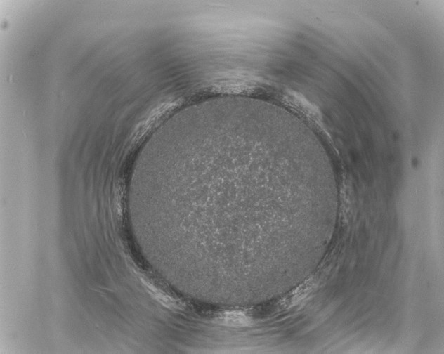 X0000060810114200511141516