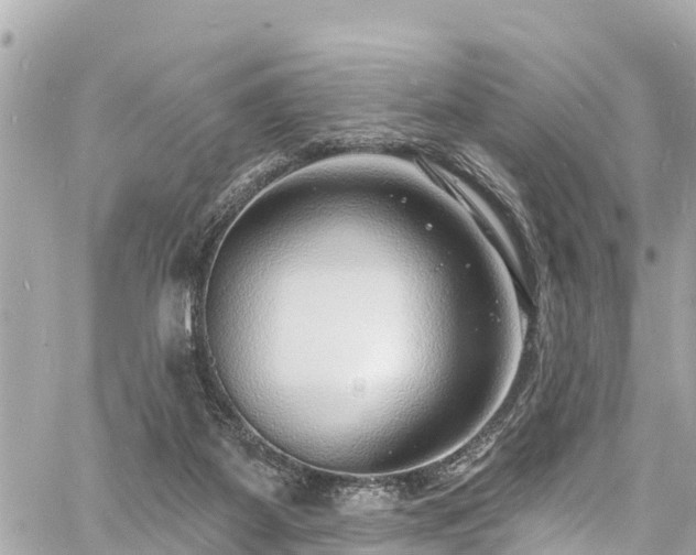 X0000060810115200511141516