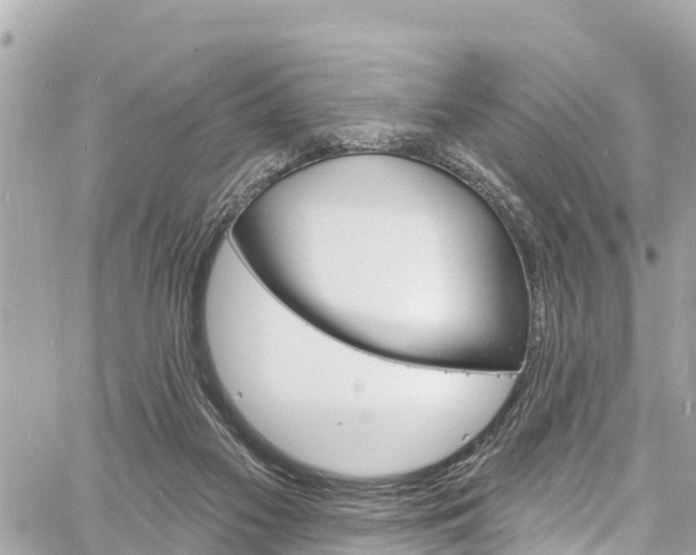 X0000060810117200511141516