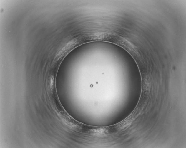 X0000060810118200511141516