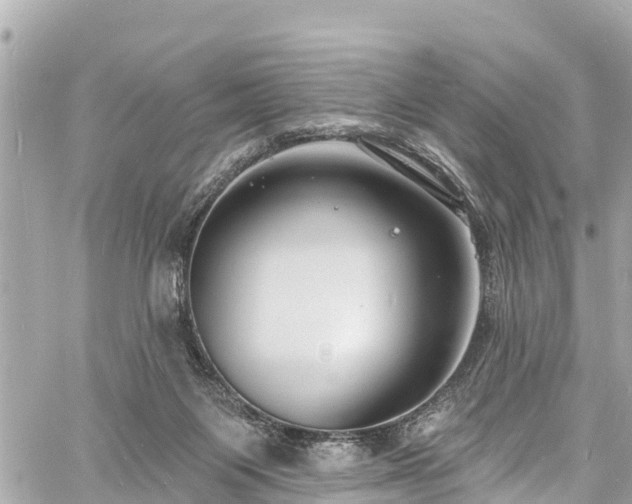 X0000060810119200511141516