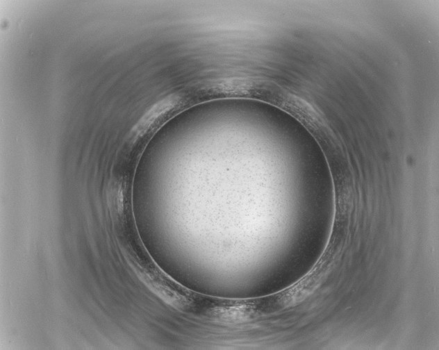 X0000060810120200511141516