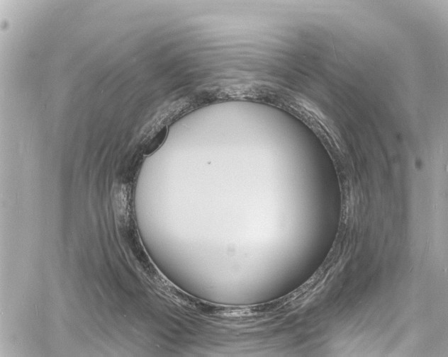 X0000060810121200511141516