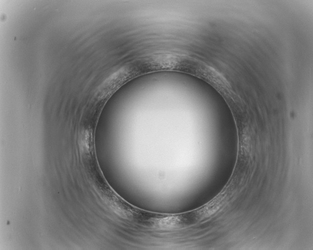 X0000060810122200511141516