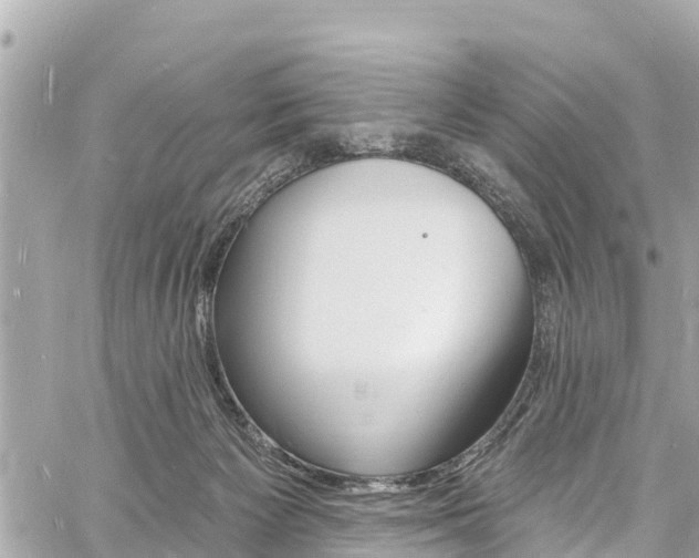 X0000060810125200511141516