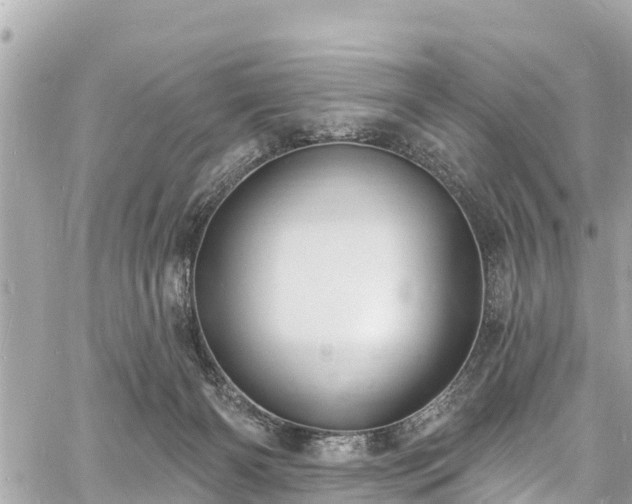 X0000060810126200511141516