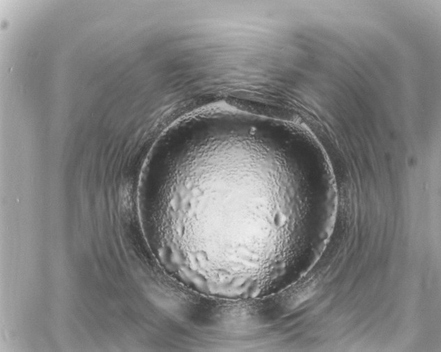 X0000060810127200511141516