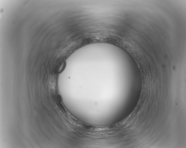 X0000060810129200511141516