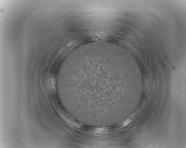 X0000060810130200511141516