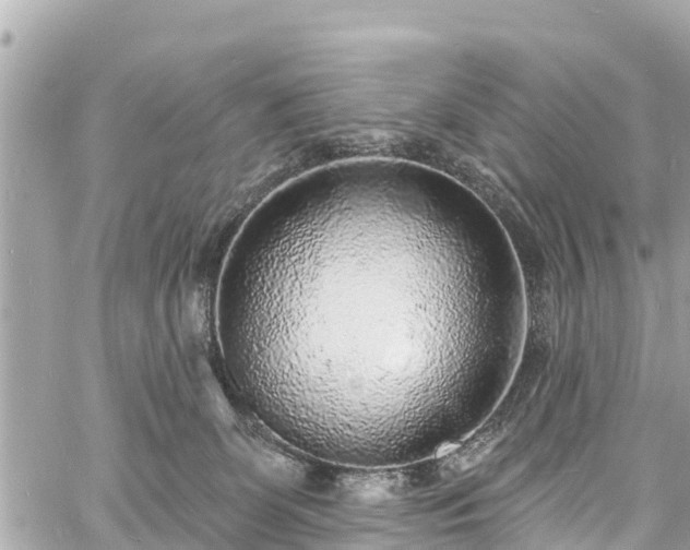 X0000060810131200511141516