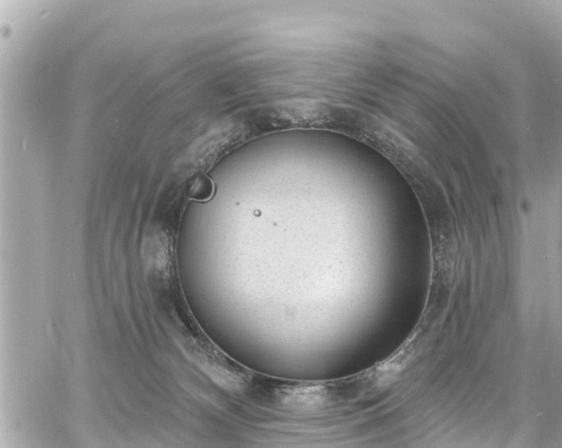 X0000060810132200511141516