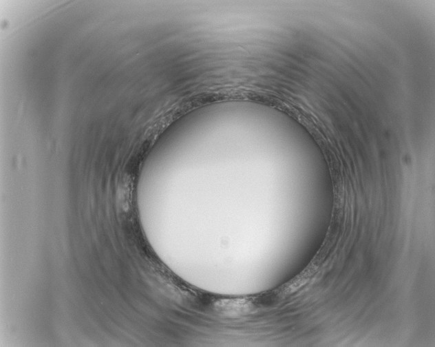 X0000060810133200511141516