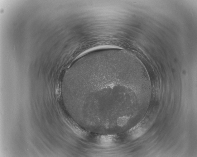 X0000060810134200511141516