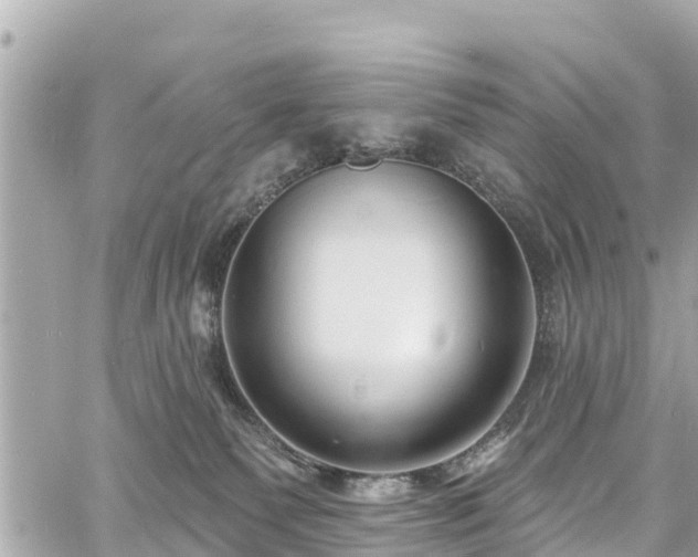 X0000060810135200511141516